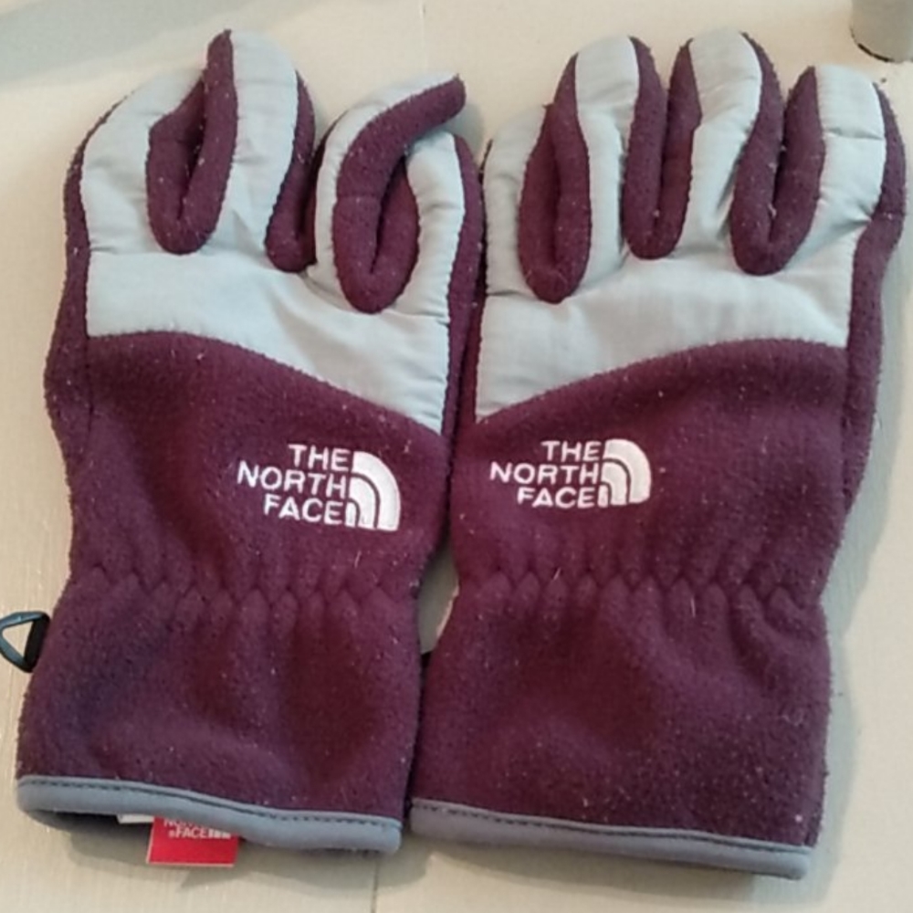 North Face Gloves